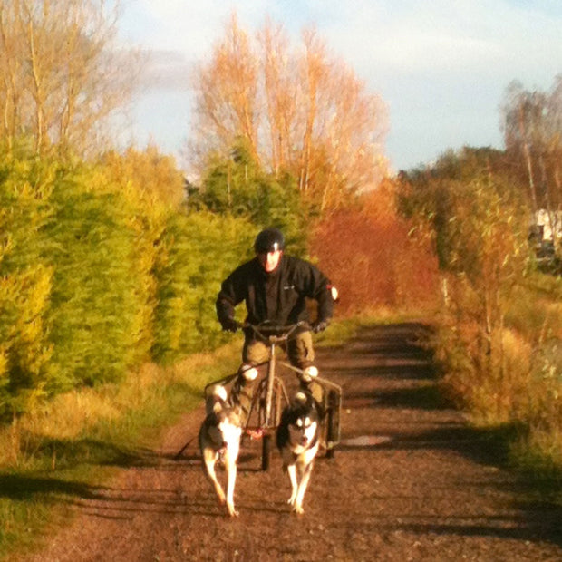 Husky rides