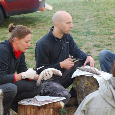 Trout gutting and cooking